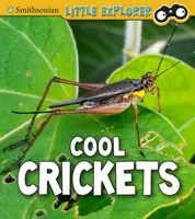 Coole Grillen - Cool Crickets