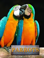 Papageien - Parrots