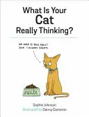 Was denkt Ihre Katze wirklich? - What Is Your Cat Really Thinking?