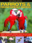 Die Natur erforschen: Papageien und Vögel des Regenwaldes: Aras, Kolibris, Flamingos, Tukane und andere exotische Arten, gezeigt in mehr als 180 Bildern - Exploring Nature: Parrots & Rainforest Birds: Macaws, Hummingbirds, Flamingos, Toucans and Other Exotic Species, All Shown in More Than 180 Pictures