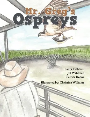 Mr. Gregs Fischadler - Mr. Greg's Ospreys