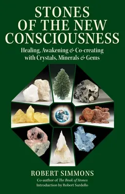 Steine des neuen Bewusstseins: Heilen, Erwachen und Mitgestalten mit Kristallen, Mineralien und Edelsteinen - Stones of the New Consciousness: Healing, Awakening, and Co-Creating with Crystals, Minerals, and Gems