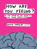 Wie fühlen Sie sich? - Das Innere des menschlichen Gehirns im Mittelpunkt - How Are You Feeling? - At the Centre of the Inside of The Human Brain's Mind