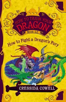 How to Train Your Dragon: Wie man den Zorn des Drachen bekämpft - How to Train Your Dragon: How to Fight a Dragon's Fury