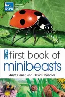 RSPB Erstes Buch der Minibeasts - RSPB First Book Of Minibeasts