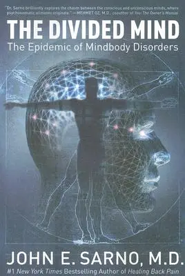 Der gespaltene Geist: Die Epidemie der Störungen des Geistes und des Körpers - The Divided Mind: The Epidemic of Mindbody Disorders