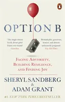 Option B - Widrigkeiten bewältigen, Widerstandsfähigkeit aufbauen und Freude finden - Option B - Facing Adversity, Building Resilience, and Finding Joy