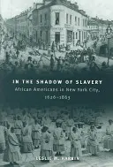 Im Schatten der Sklaverei: Afroamerikaner in New York City, 1626-1863 - In the Shadow of Slavery: African Americans in New York City, 1626-1863