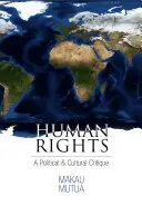 Menschenrechte: Eine politische und kulturelle Kritik - Human Rights: A Political and Cultural Critique