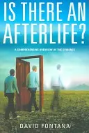 Gibt es ein Leben nach dem Tod? Ein umfassender Überblick über die Beweise - Is There an Afterlife?: A Comprehensive Overview of the Evidence