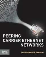 Peering von Carrier-Ethernet-Netzwerken - Peering Carrier Ethernet Networks