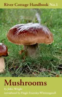 Pilze - Mushrooms