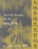 Tai Chi Geheimnisse des Yang-Stils: Chinesische Klassiker, Übersetzungen, Kommentar - Tai Chi Secrets of the Yang Style: Chinese Classics, Translations, Commentary