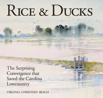 Reis und Enten: Die überraschende Konvergenz, die das Carolina Lowcountry rettete - Rice & Ducks: The Surprising Convergence That Saved the Carolina Lowcountry