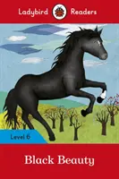 Schwarze Schönheit: Stufe 6 - Black Beauty: Level 6