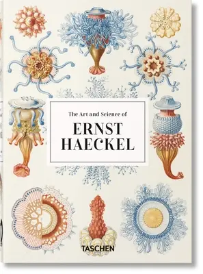 Die Kunst und Wissenschaft von Ernst Haeckel. 40. Auflage. - The Art and Science of Ernst Haeckel. 40th Ed.