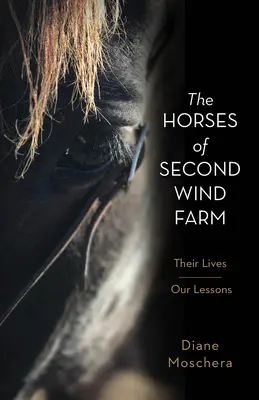 Die Pferde der Second Wind Farm: Ihr Leben - Unsere Lektionen - The Horses of Second Wind Farm: Their Lives - Our Lessons