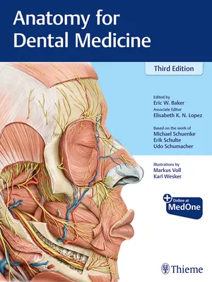 Anatomie für die Zahnmedizin - Anatomy for Dental Medicine