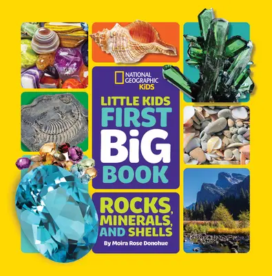 Das erste große Buch für kleine Kinder über Steine, Mineralien und Muscheln - Little Kids First Big Book of Rocks, Minerals & Shells