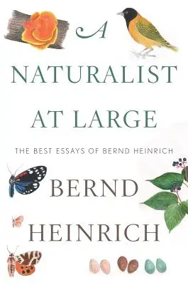 Ein Naturforscher auf großer Fahrt: Die besten Aufsätze von Bernd Heinrich - A Naturalist at Large: The Best Essays of Bernd Heinrich