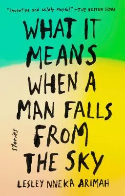 Was es bedeutet, wenn ein Mann vom Himmel fällt: Geschichten - What It Means When a Man Falls from the Sky: Stories