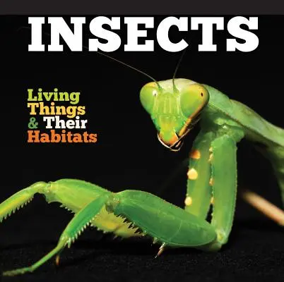 Insekten - Insects