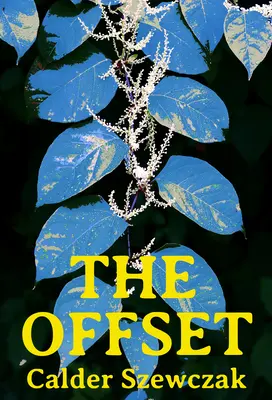 Der Versatz - The Offset