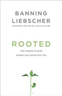 Verwurzelt: Die verborgenen Orte, an denen Gott Sie entwickelt - Rooted: The Hidden Places Where God Develops You