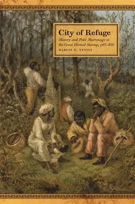 Stadt der Zuflucht: Sklaverei und Petit Marronage im Great Dismal Swamp, 1763-1856 - City of Refuge: Slavery and Petit Marronage in the Great Dismal Swamp, 1763-1856