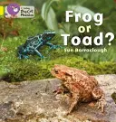 Frosch oder Kröte? - Frog or Toad?