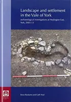 Landschaft und Siedlung im Vale of York: Archäologische Ausgrabungen in Heslington East, York, 2003-13 - Landscape and Settlement in the Vale of York: Archaeological Investigations at Heslington East, York, 2003-13