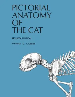 Bildliche Anatomie der Katze - Pictorial Anatomy of the Cat