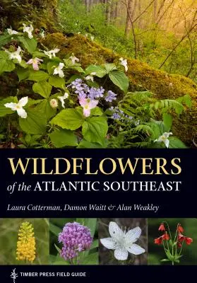 Wildblumen des Atlantiks im Südosten - Wildflowers of the Atlantic Southeast