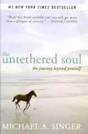 Die ungebundene Seele: Die Reise über sich selbst hinaus - The Untethered Soul: The Journey Beyond Yourself