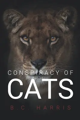 Verschwörung der Katzen - Conspiracy of Cats