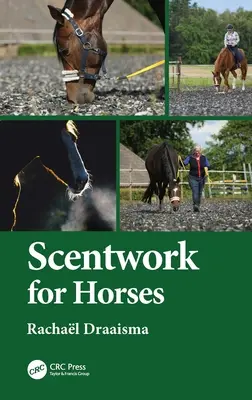 Bühnenbild für Pferde - Scentwork for Horses