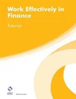 Effizientes Arbeiten im Finanzbereich Tutorial - Work Effectively in Finance Tutorial