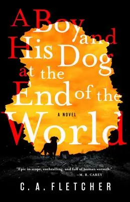 Ein Junge und sein Hund am Ende der Welt - A Boy and His Dog at the End of the World