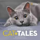 Katzengeschichten: Wahre Geschichten über Freundlichkeit und Kameradschaft mit Kätzchen - Cat Tales: True Stories of Kindness and Companionship with Kitties