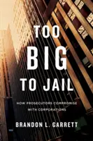 Zu groß für den Knast: Wie Staatsanwälte Kompromisse mit Konzernen schließen - Too Big to Jail: How Prosecutors Compromise with Corporations