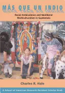 Ms Que Un Indio (Mehr als ein Indianer): Rassische Ambivalenz und neoliberaler Multikulturalismus in Guatemala - Ms Que Un Indio (More Than an Indian): Racial Ambivalence and Neoliberal Multiculturalism in Guatemala