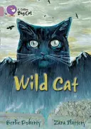 Wilde Katze - Wild Cat