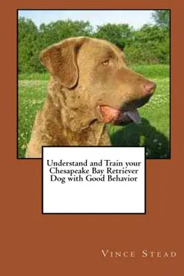 Wie Sie Ihren Chesapeake Bay Retriever Hund verstehen und trainieren - Understand and Train your Chesapeake Bay Retriever Dog with Good Behavior