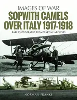 Sopwith-Kamele über Italien, 1917-1918 - Sopwith Camels Over Italy, 1917-1918