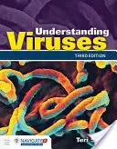 Viren verstehen - Understanding Viruses