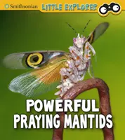 Mächtige Gottesanbeterinnen - Powerful Praying Mantises