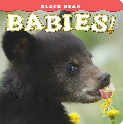 Schwarzbären-Babys! - Black Bear Babies!