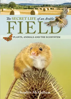 Das geheime Leben eines Ackers: Pflanzen, Tiere und das Ökosystem - The Secret Life of an Arable Field: Plants, Animals and the Ecosystem