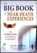 Das große Buch der Nahtoderfahrungen: Der ultimative Leitfaden für die Nde und ihre Nachwirkungen - The Big Book of Near-Death Experiences: The Ultimate Guide to the Nde and Its Aftereffects