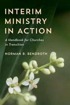 Dienst auf Zeit in Aktion: Ein Handbuch für Kirchen in der Übergangsphase - Interim Ministry in Action: A Handbook for Churches in Transition